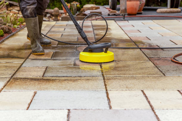 Solar Panel Cleaning